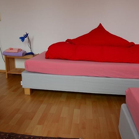 Monteur Und Messewohnung Родґау Екстер'єр фото